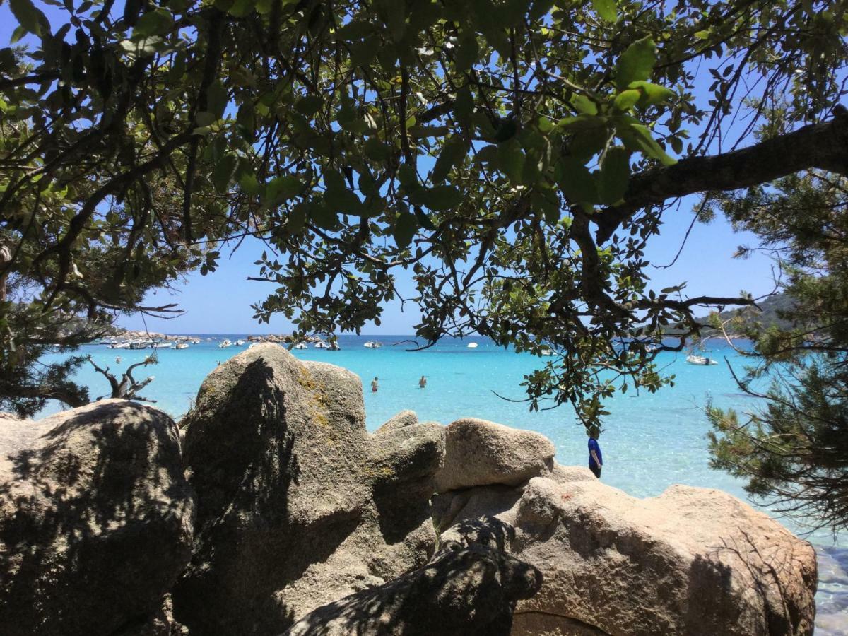 Villa Les Hameaux Di Santa Giulia Πόρτο Βέκιο Εξωτερικό φωτογραφία